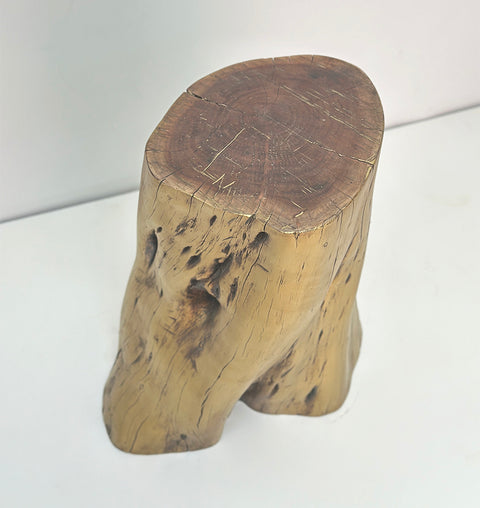 Vrind Rustic Gold Tree Trunk Table